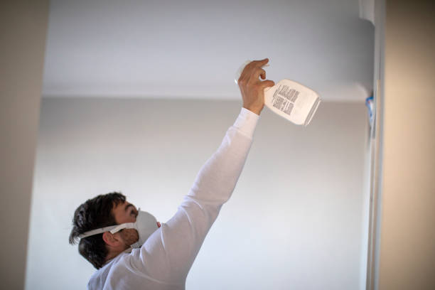 Best Emergency Mold Removal  in Marion, IA