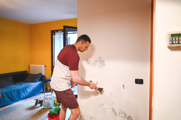 Best Professional Mold Removal  in Marion, IA