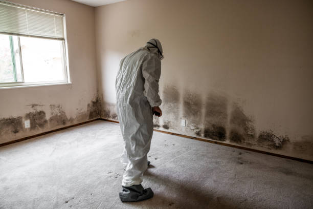 Best Mold Testing  in Marion, IA
